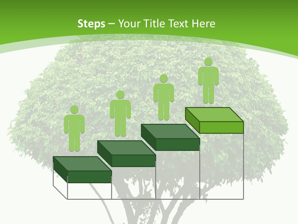 Wood Green Maple PowerPoint Template