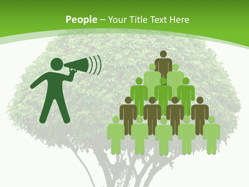 Wood Green Maple PowerPoint Template