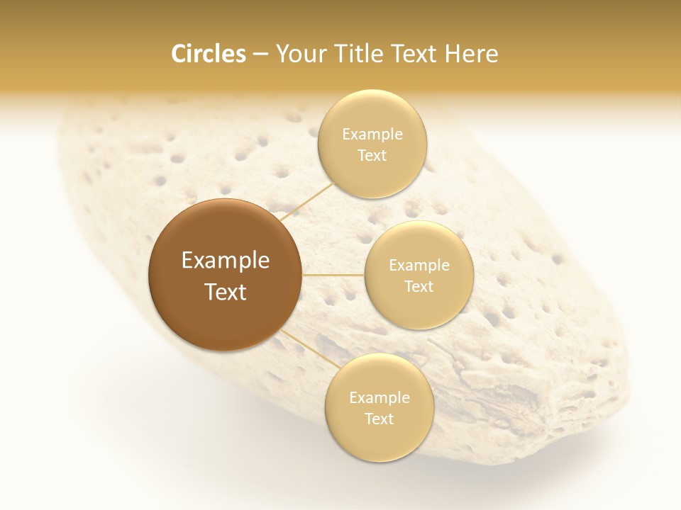Vitamin Tasty Vegetarian PowerPoint Template