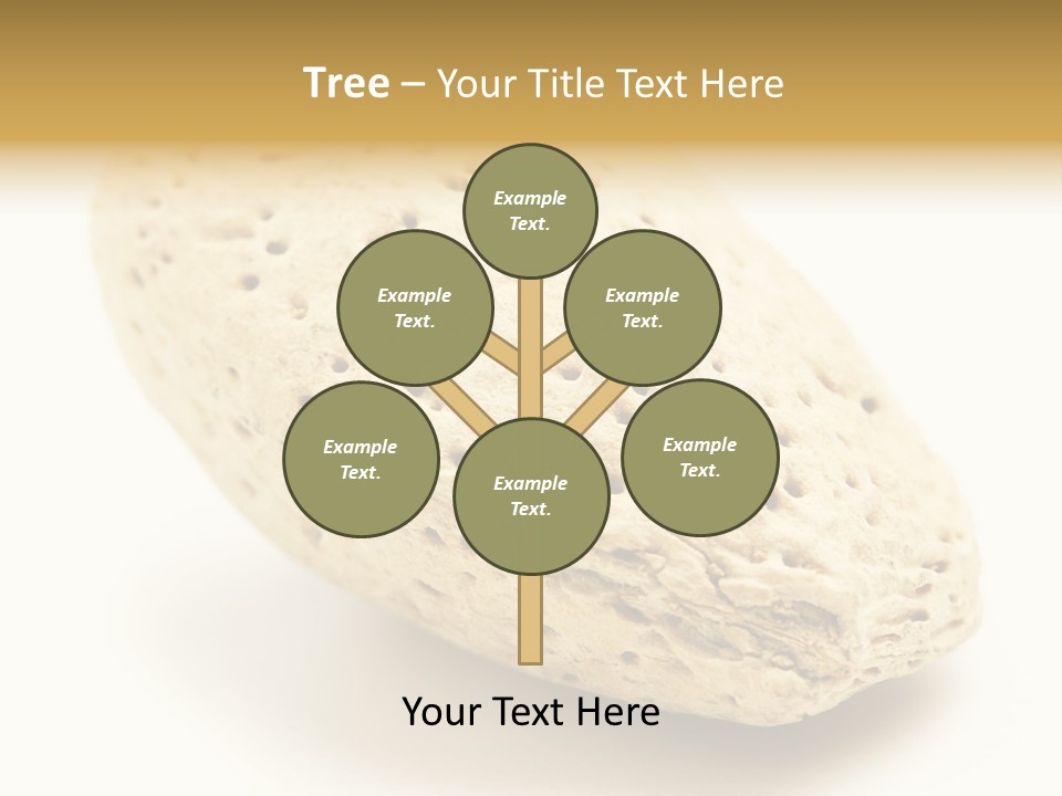 Vitamin Tasty Vegetarian PowerPoint Template