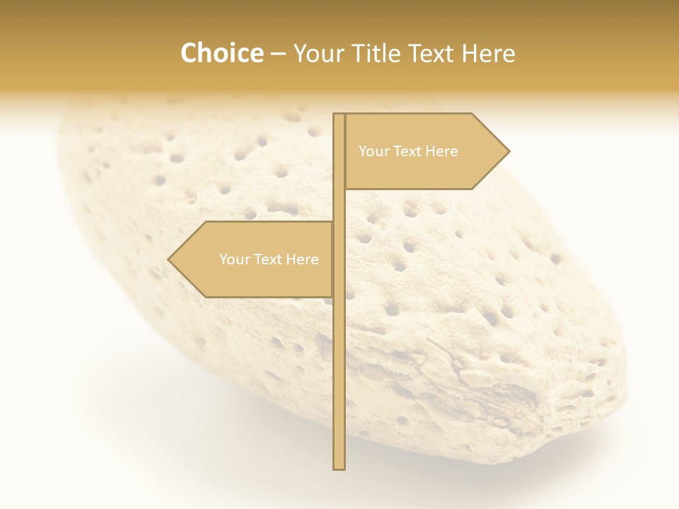 Vitamin Tasty Vegetarian PowerPoint Template