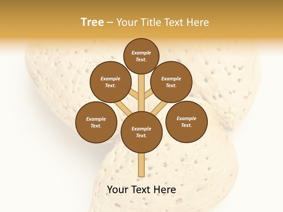 Almond Background Healthy PowerPoint Template