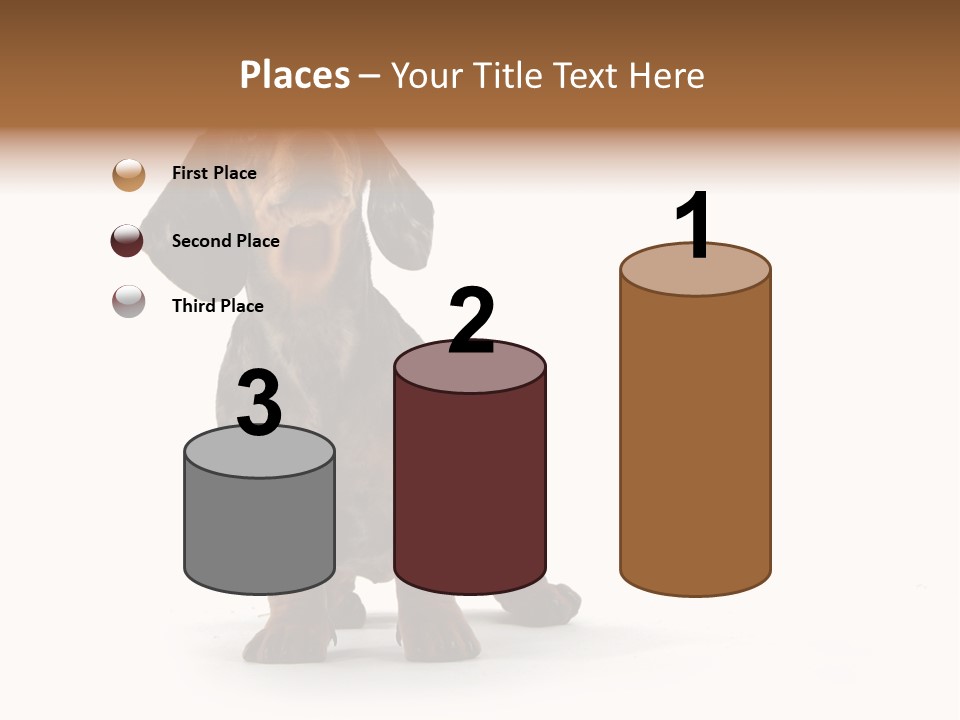 Dog Black Domestic PowerPoint Template