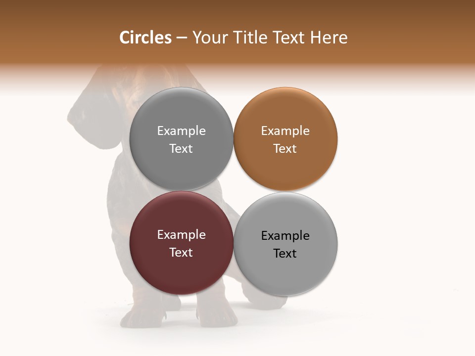 Dog Black Domestic PowerPoint Template