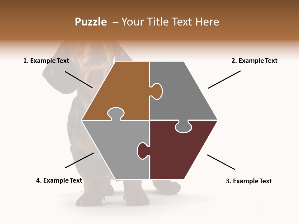 Dog Black Domestic PowerPoint Template