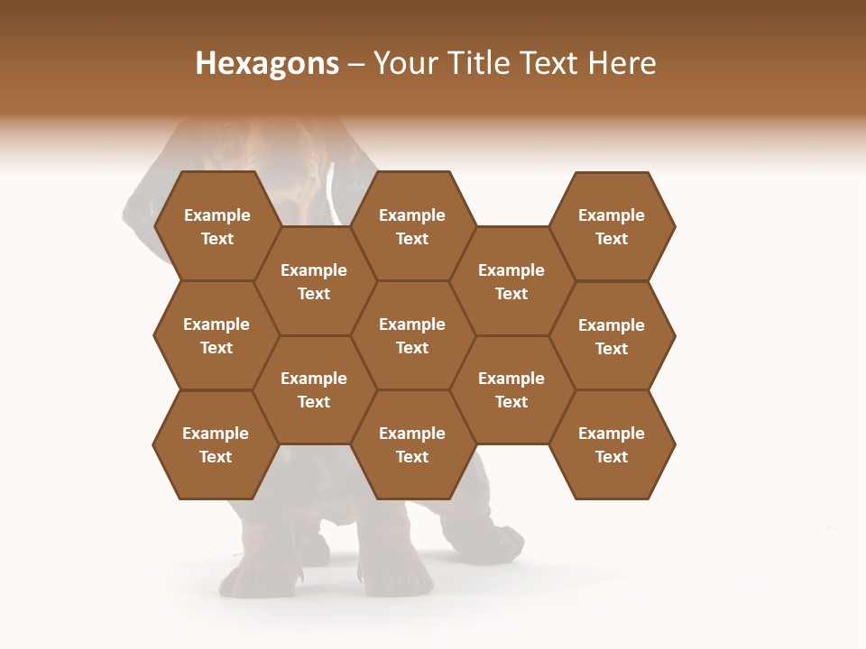 Dog Black Domestic PowerPoint Template