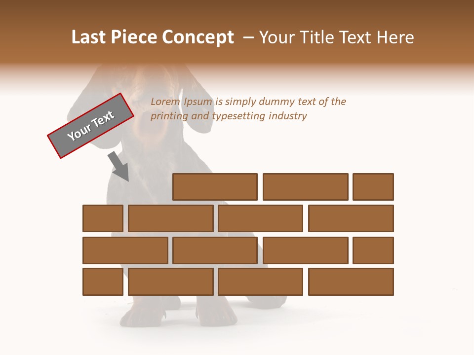 Dog Black Domestic PowerPoint Template