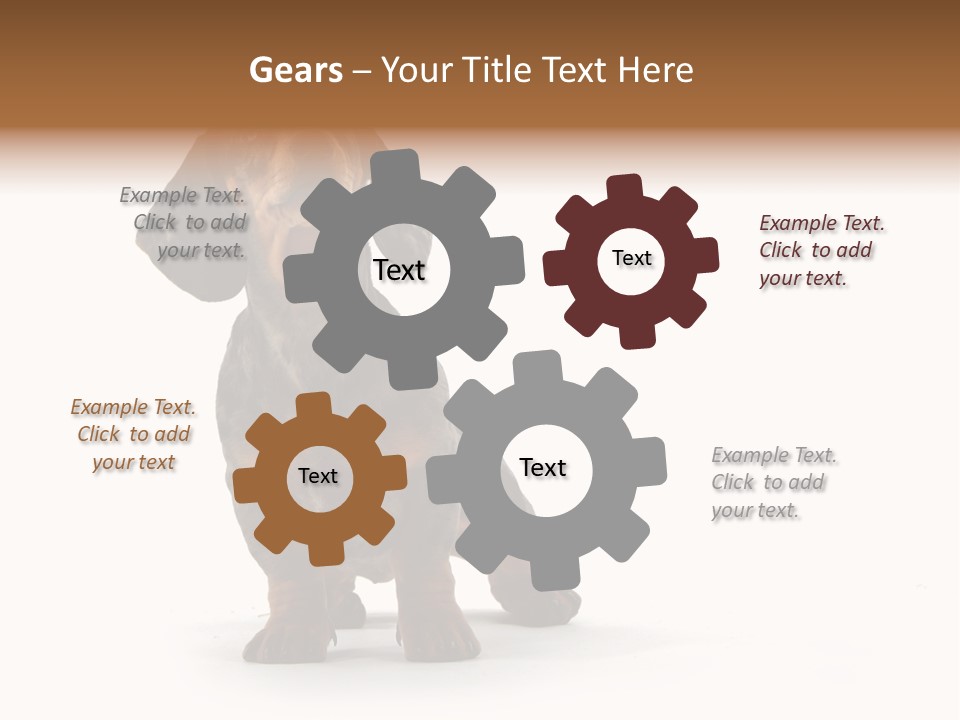 Dog Black Domestic PowerPoint Template