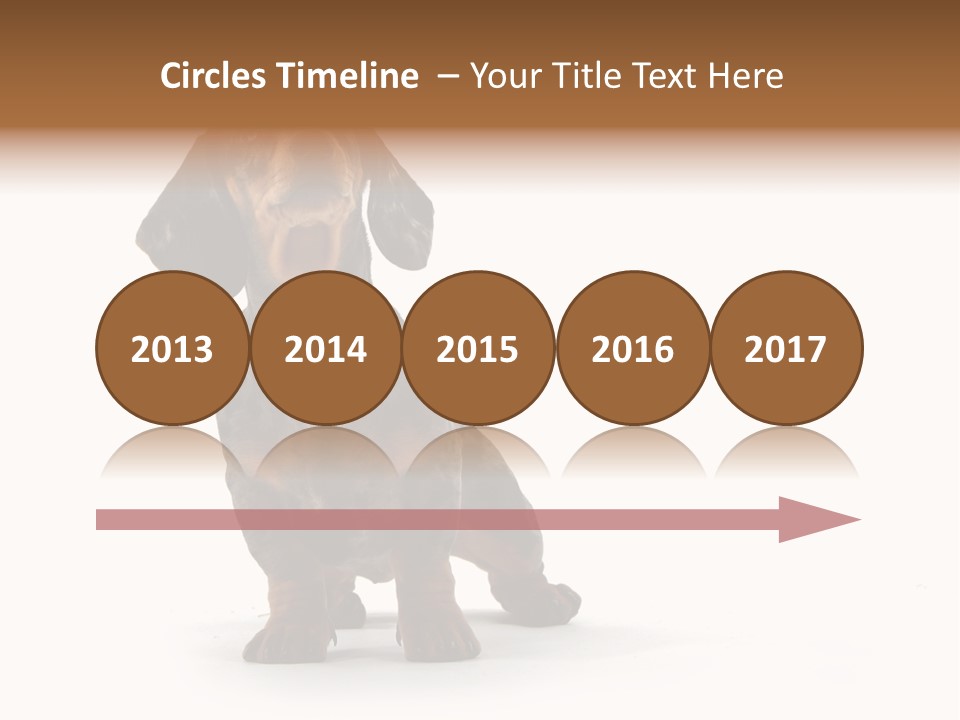 Dog Black Domestic PowerPoint Template