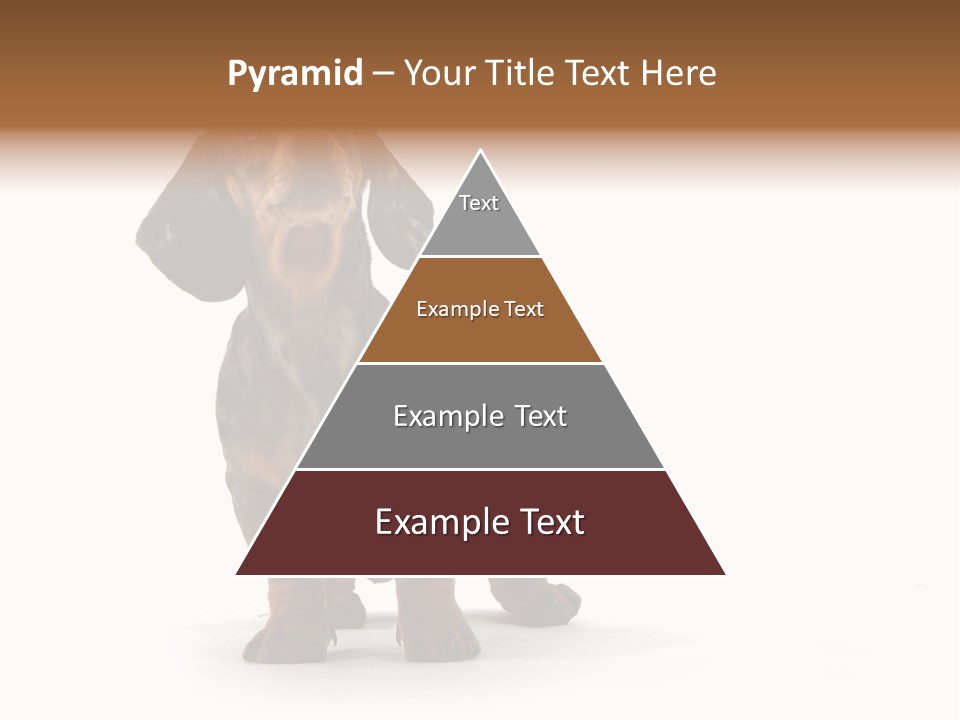 Dog Black Domestic PowerPoint Template