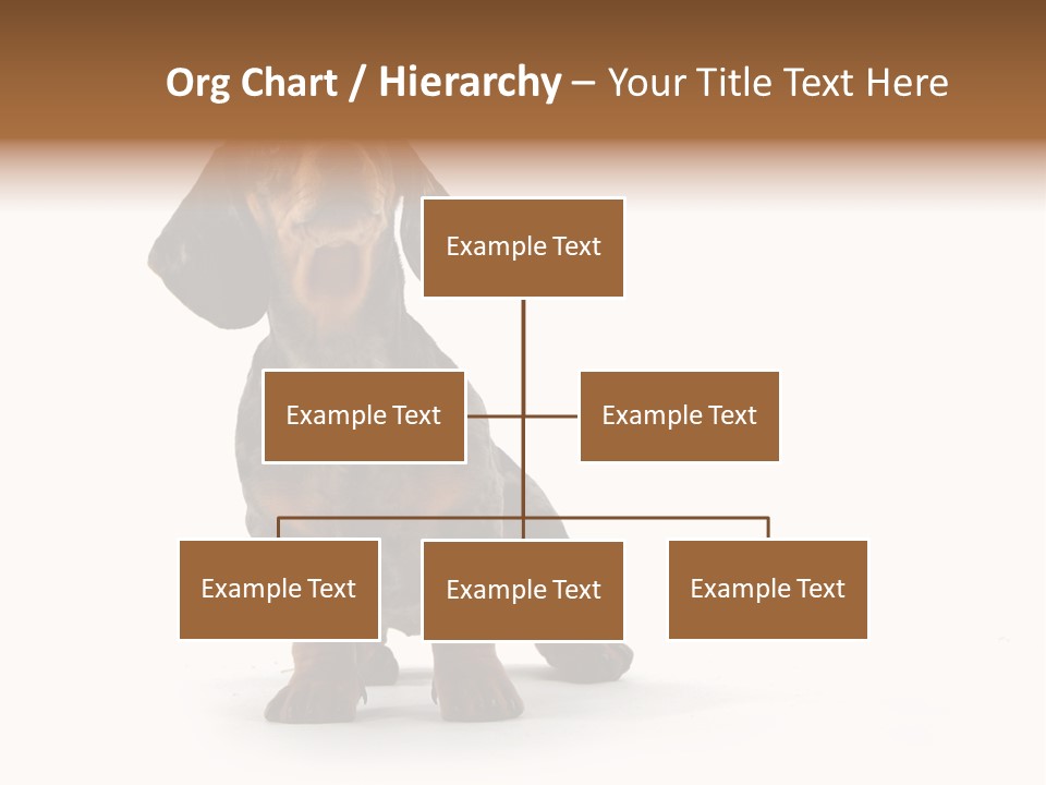 Dog Black Domestic PowerPoint Template