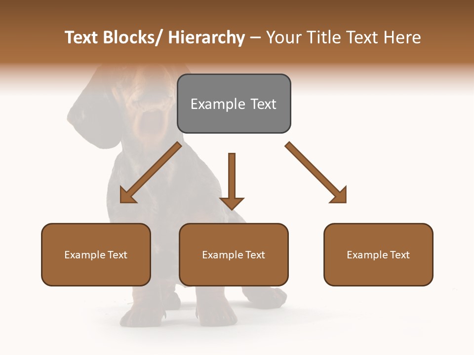 Dog Black Domestic PowerPoint Template