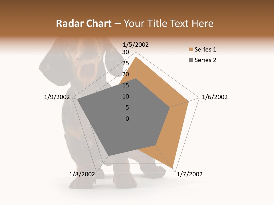 Dog Black Domestic PowerPoint Template