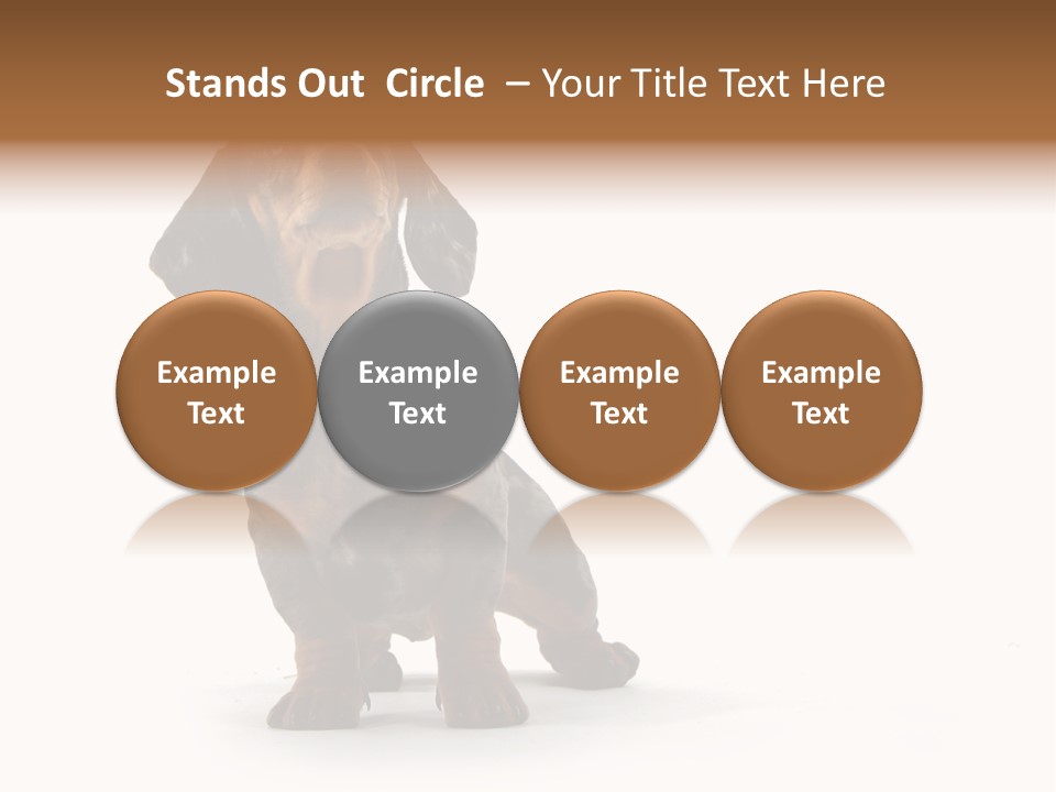 Dog Black Domestic PowerPoint Template