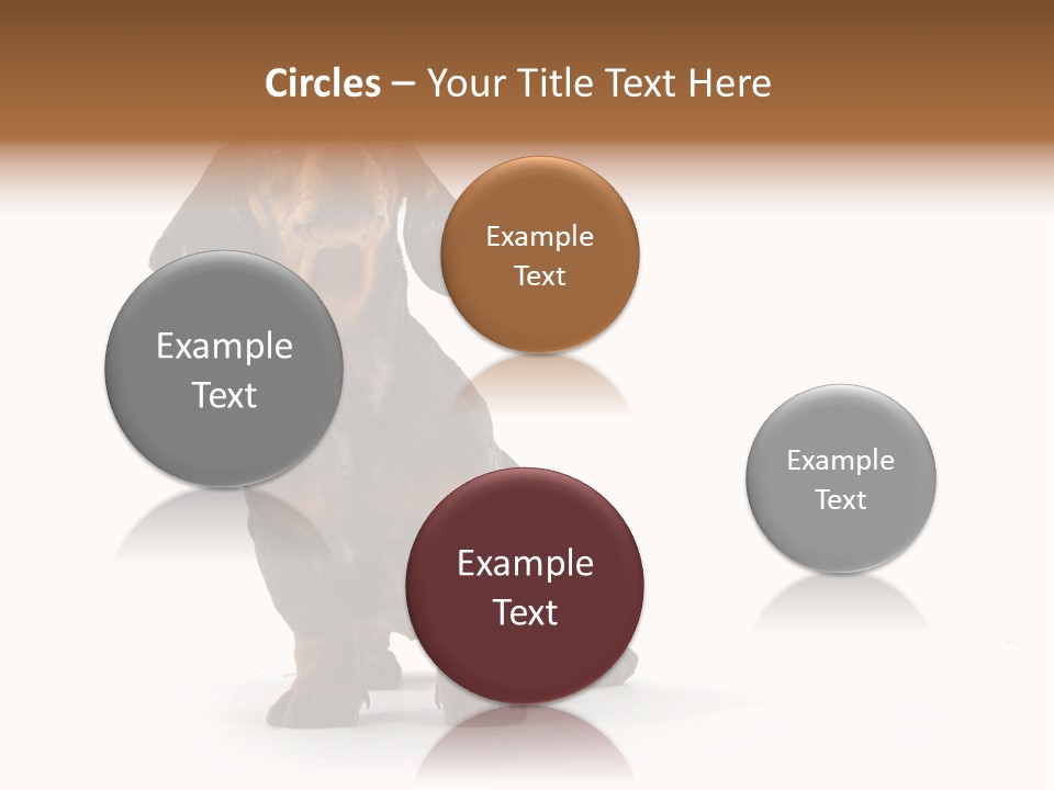 Dog Black Domestic PowerPoint Template