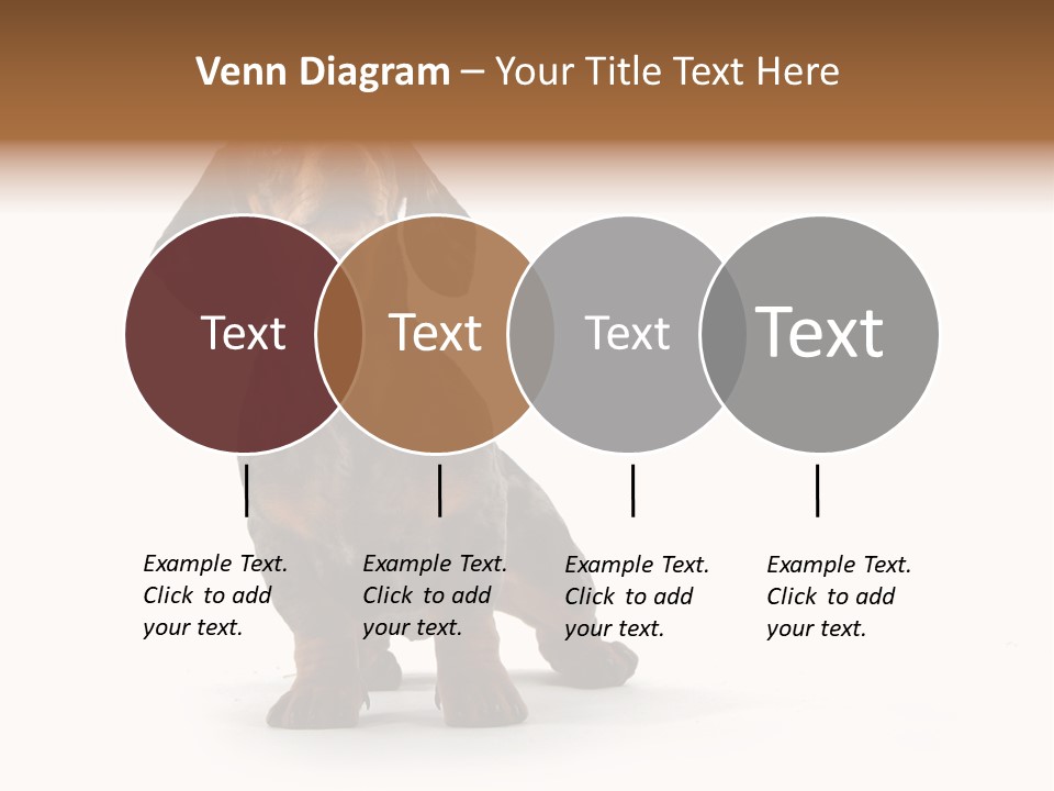 Dog Black Domestic PowerPoint Template