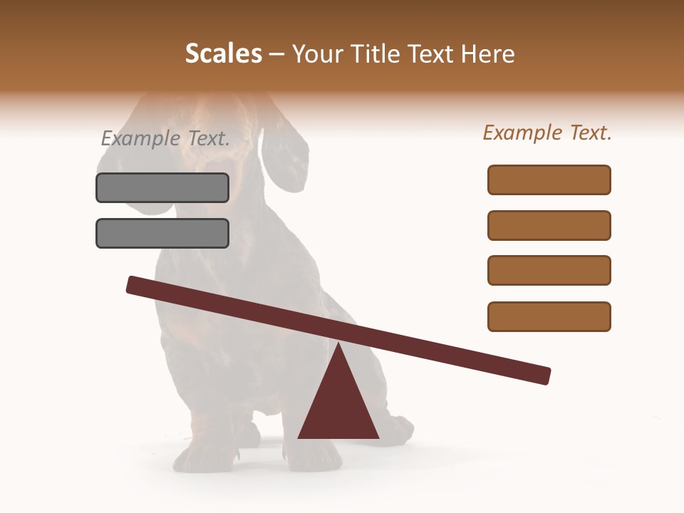 Dog Black Domestic PowerPoint Template