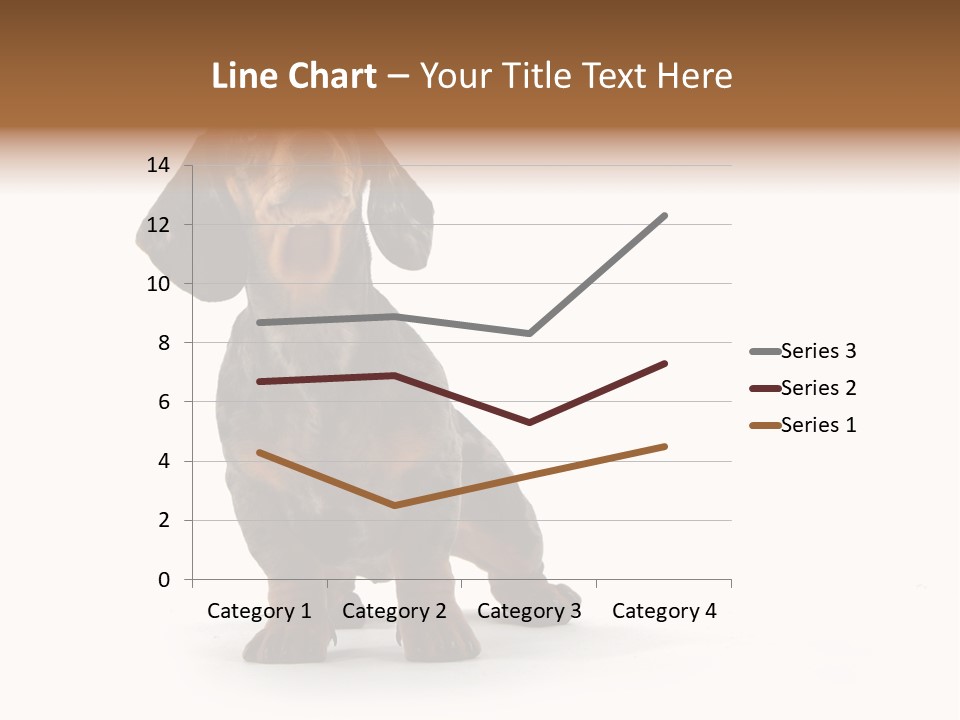 Dog Black Domestic PowerPoint Template