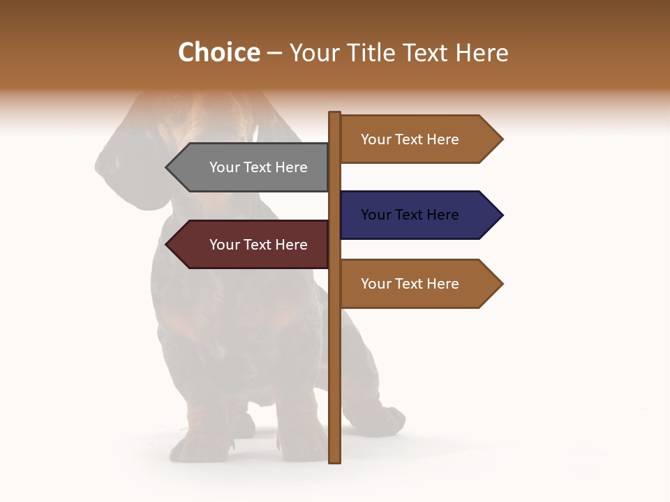 Dog Black Domestic PowerPoint Template