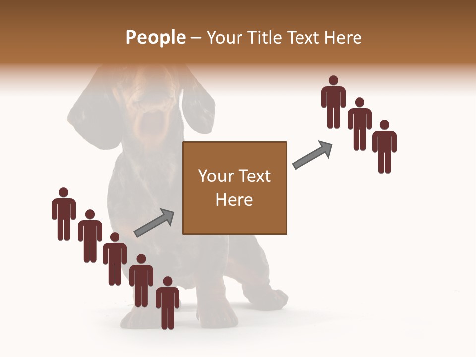 Dog Black Domestic PowerPoint Template