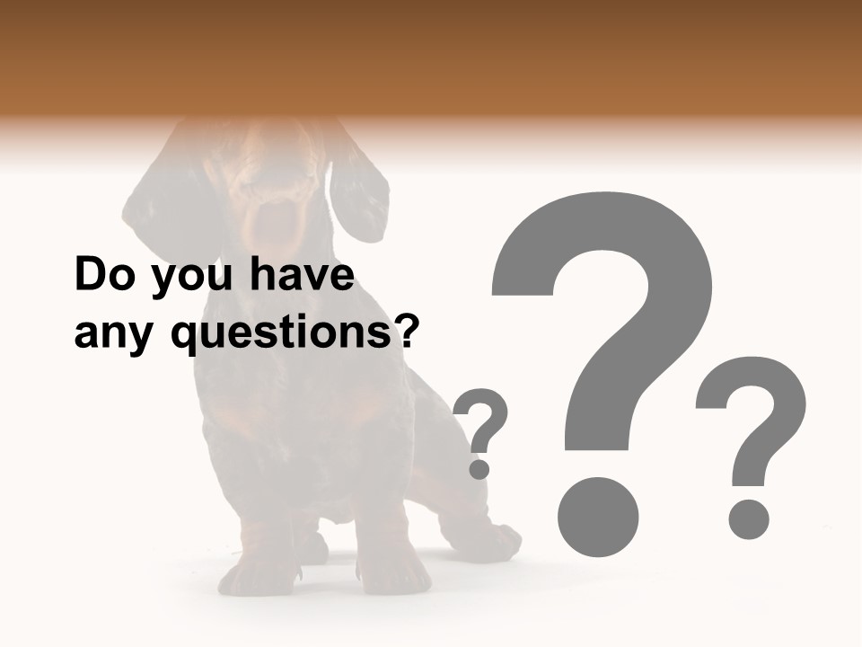 Dog Black Domestic PowerPoint Template