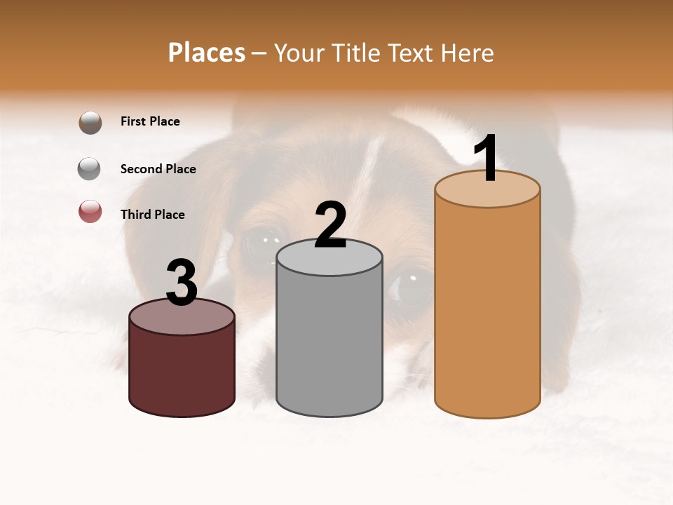 Laying Beagle Rabbit PowerPoint Template