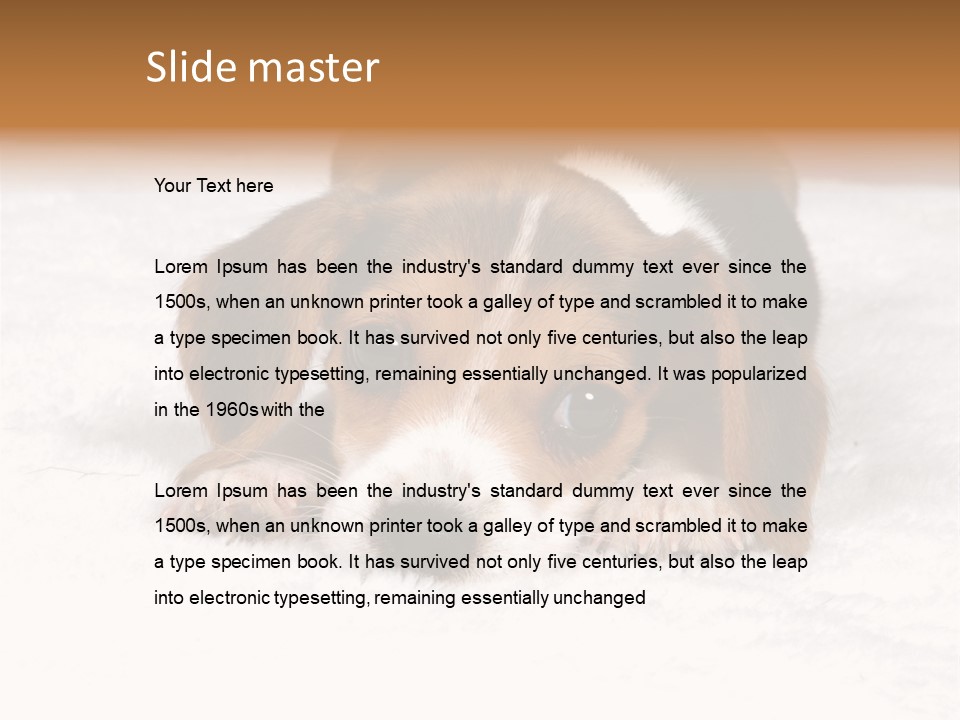 Laying Beagle Rabbit PowerPoint Template