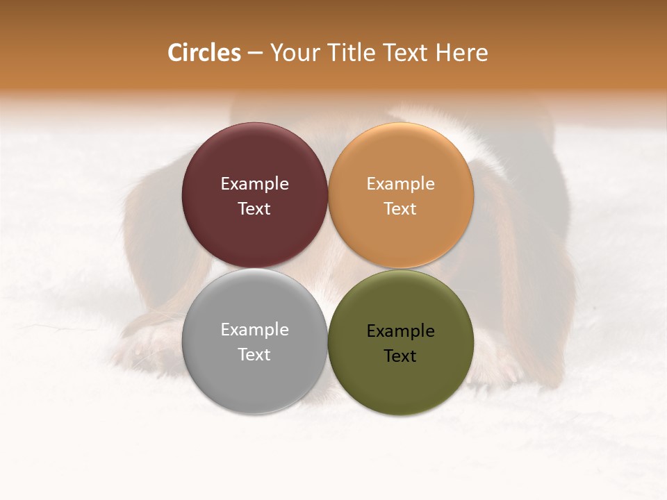 Laying Beagle Rabbit PowerPoint Template