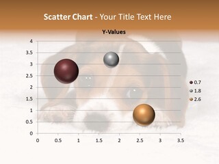 Laying Beagle Rabbit PowerPoint Template