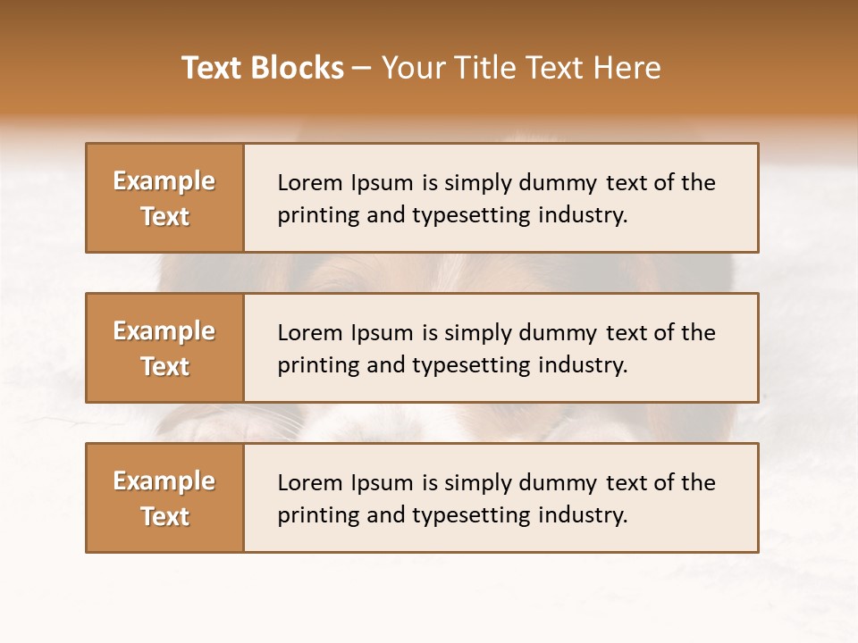 Laying Beagle Rabbit PowerPoint Template