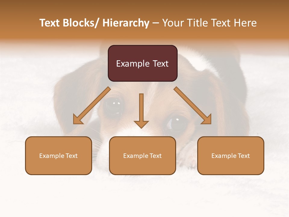 Laying Beagle Rabbit PowerPoint Template