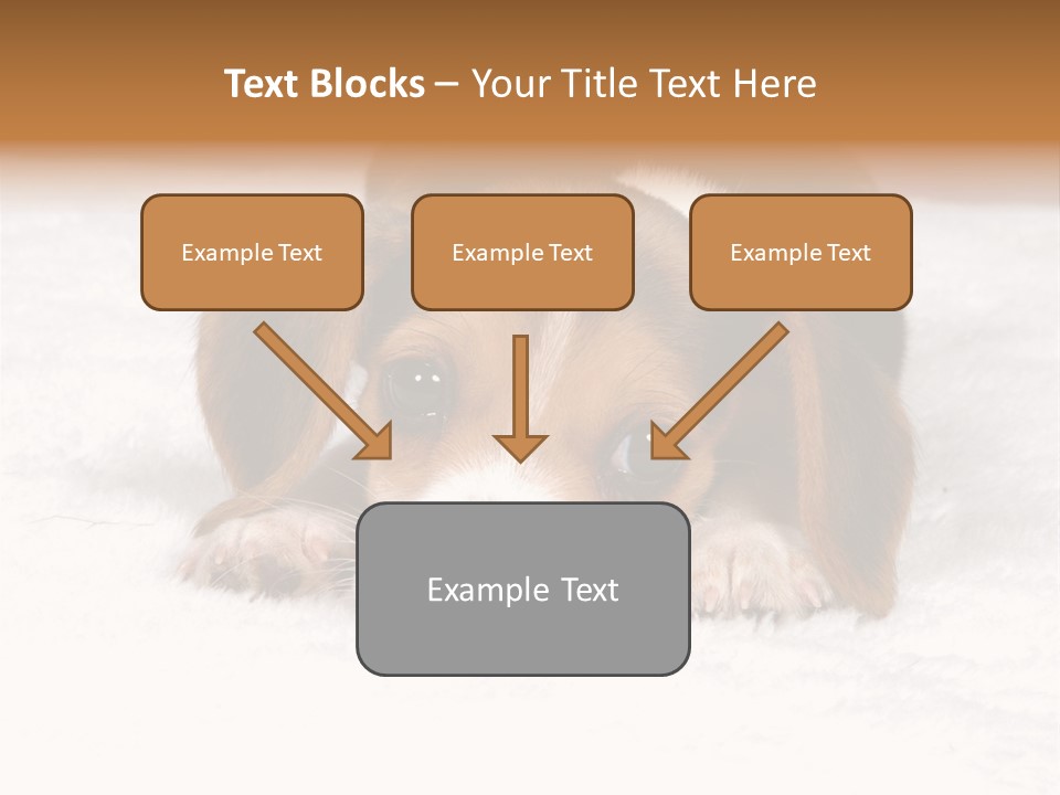 Laying Beagle Rabbit PowerPoint Template