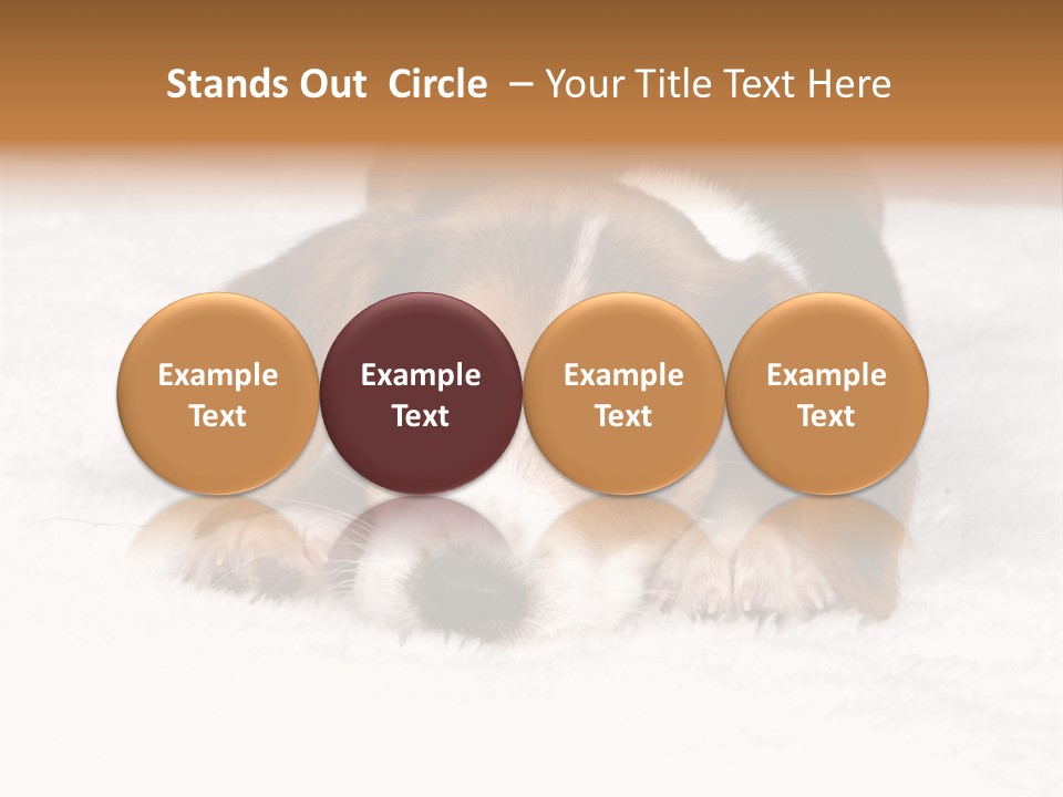 Laying Beagle Rabbit PowerPoint Template