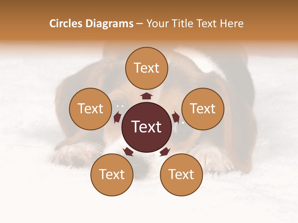 Laying Beagle Rabbit PowerPoint Template