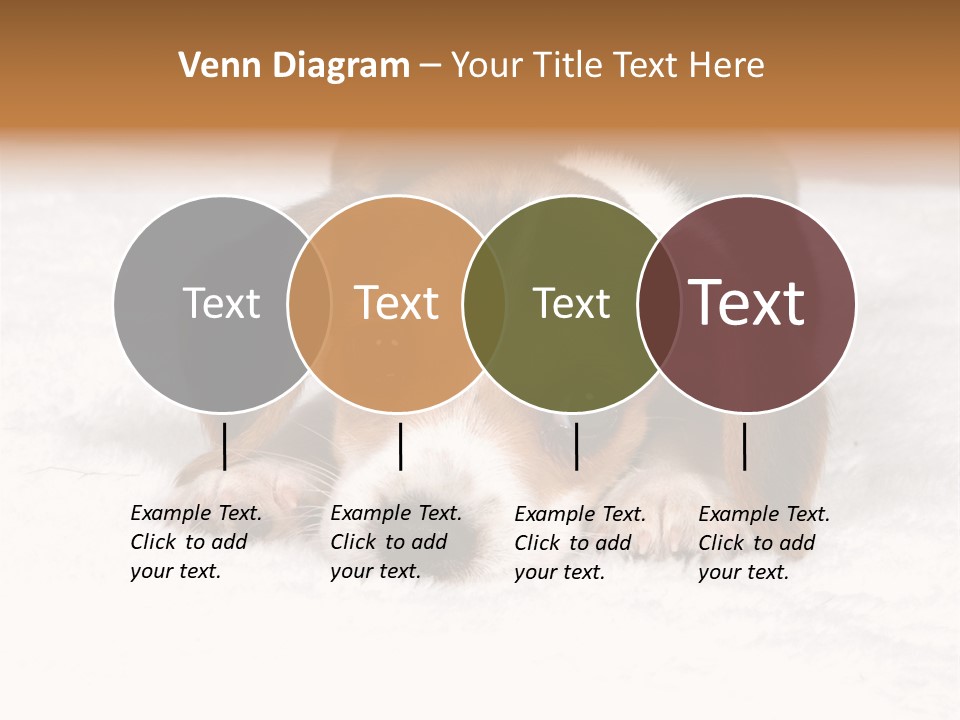 Laying Beagle Rabbit PowerPoint Template