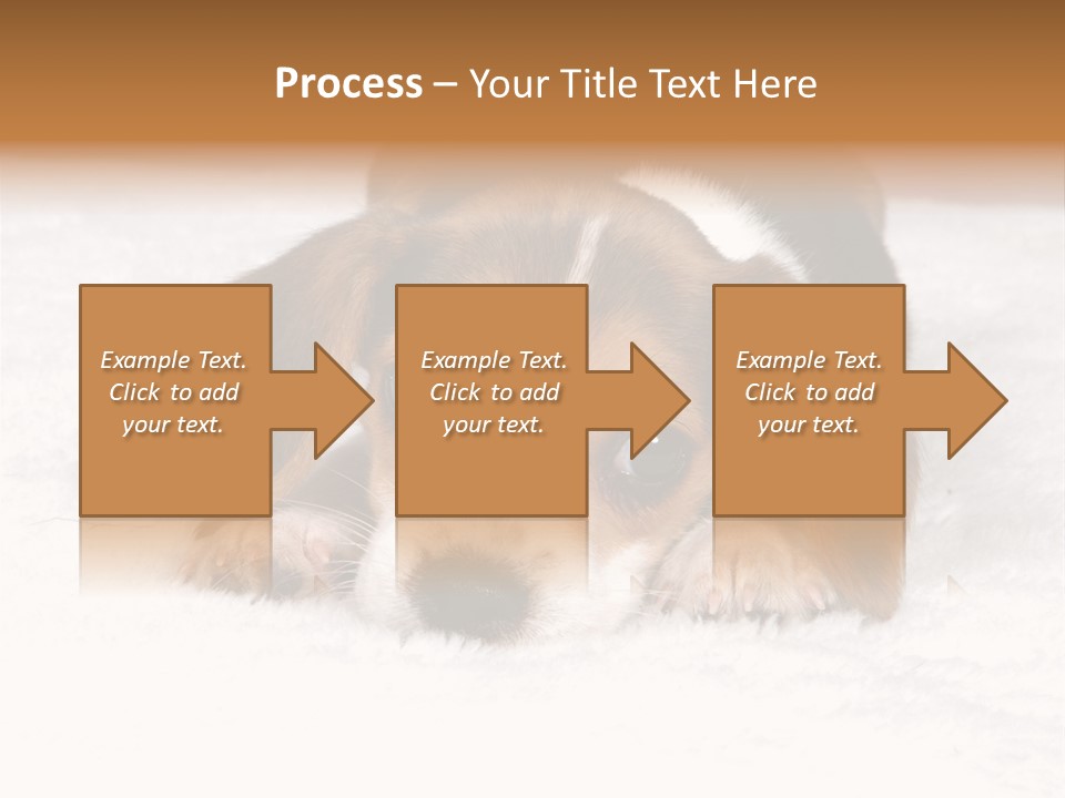 Laying Beagle Rabbit PowerPoint Template