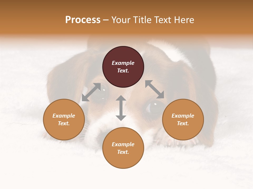Laying Beagle Rabbit PowerPoint Template