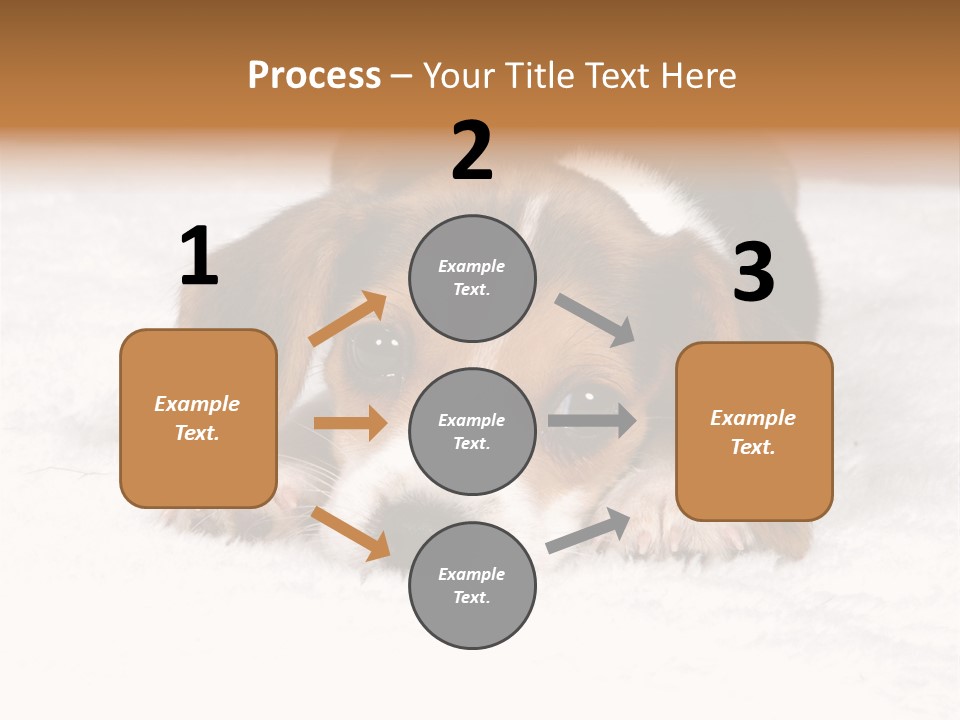 Laying Beagle Rabbit PowerPoint Template