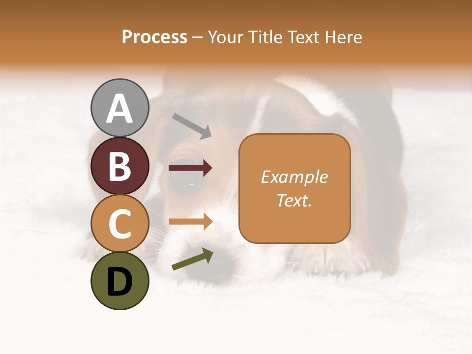 Laying Beagle Rabbit PowerPoint Template