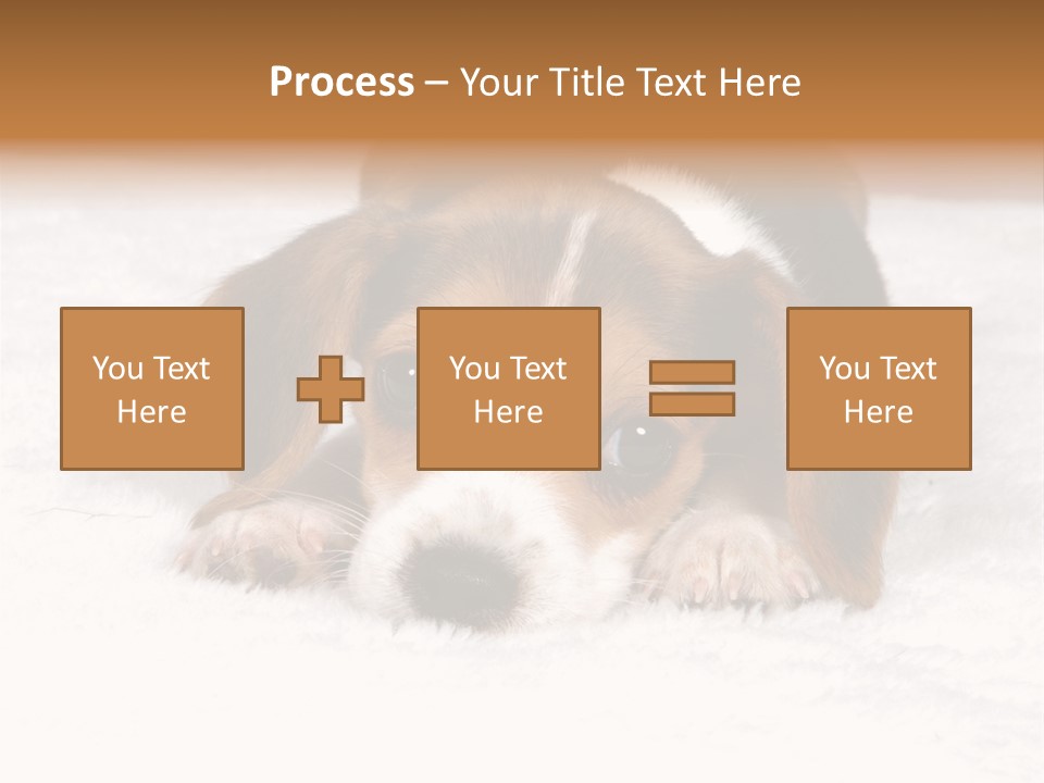 Laying Beagle Rabbit PowerPoint Template