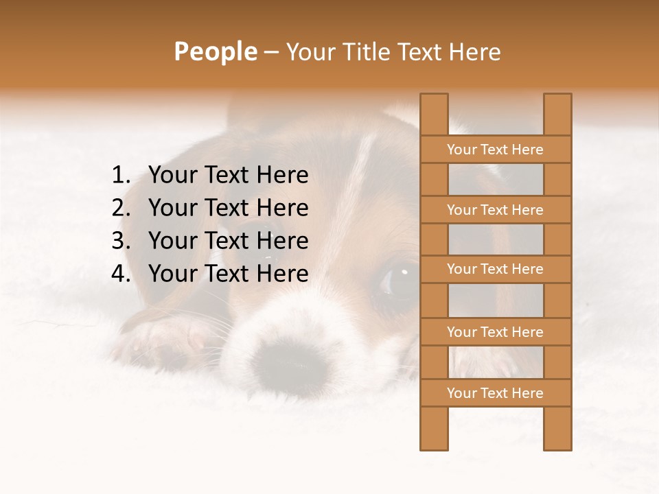 Laying Beagle Rabbit PowerPoint Template