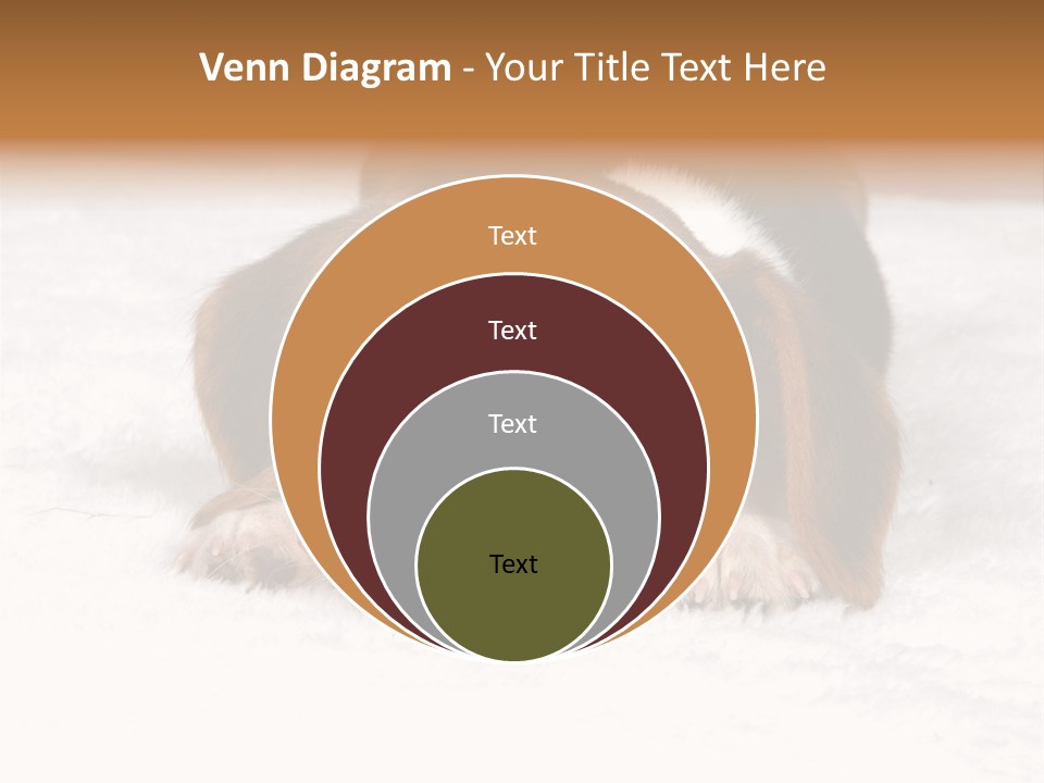 Laying Beagle Rabbit PowerPoint Template