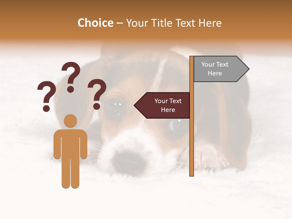 Laying Beagle Rabbit PowerPoint Template
