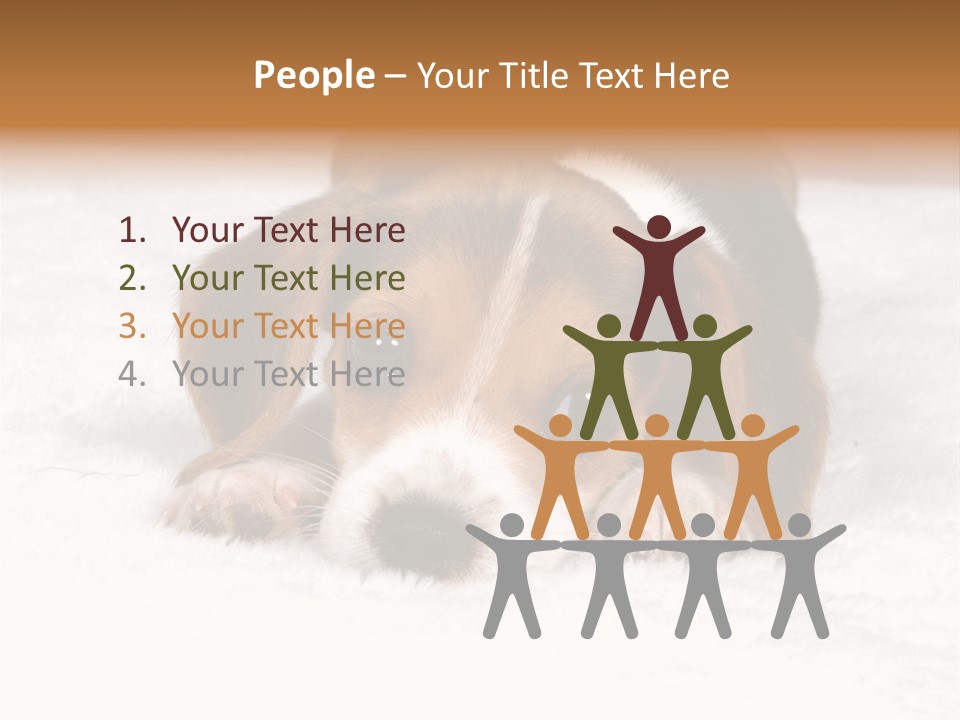 Laying Beagle Rabbit PowerPoint Template