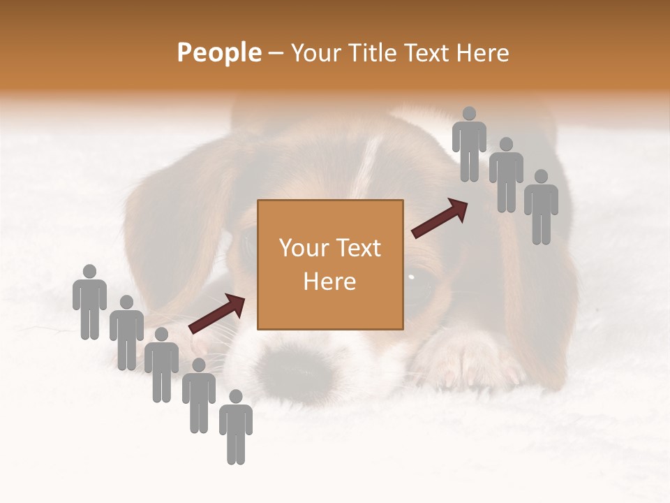 Laying Beagle Rabbit PowerPoint Template