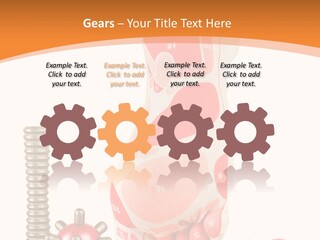 Lifestyle Leg Care PowerPoint Template