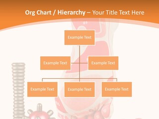 Lifestyle Leg Care PowerPoint Template