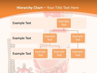 Lifestyle Leg Care PowerPoint Template
