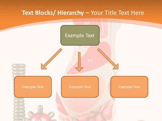 Lifestyle Leg Care PowerPoint Template