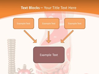 Lifestyle Leg Care PowerPoint Template